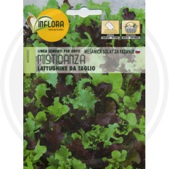 SEEDS FOR VEGETABLE GARDEN (GR.2)