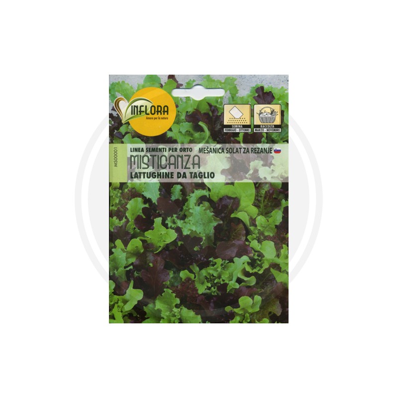 SEEDS FOR VEGETABLE GARDEN (GR.2)
