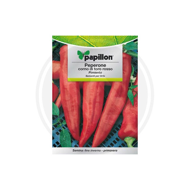 SEEDS FOR VEGETABLE GARDEN (GR. 1)