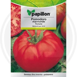 SEEDS FOR VEGETABLE GARDEN (GR.3)