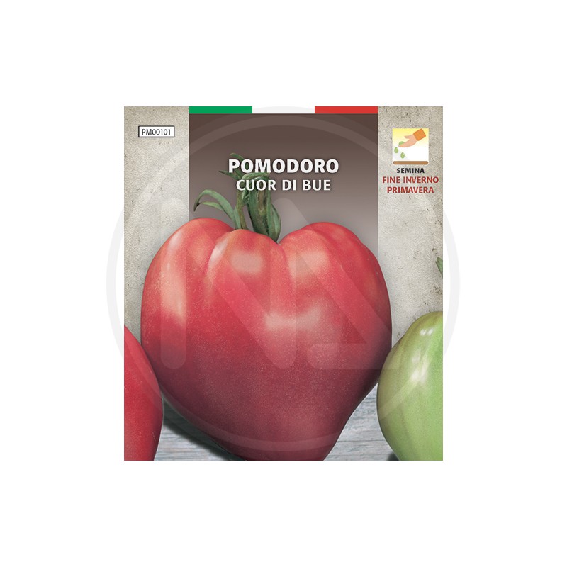 SEEDS FOR VEGETABLE GARDEN