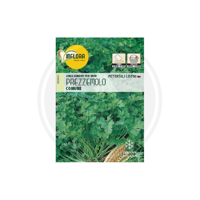 SEEDS FOR AROMATIC HERB