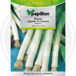 SEEDS FOR VEGETABLE GARDEN (GR.3)