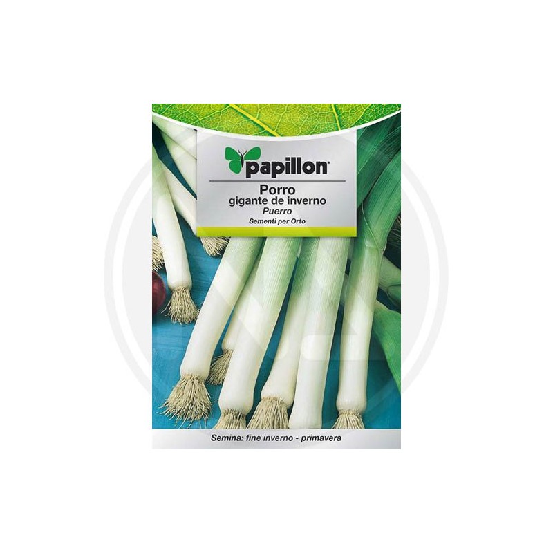 SEEDS FOR VEGETABLE GARDEN (GR.3)