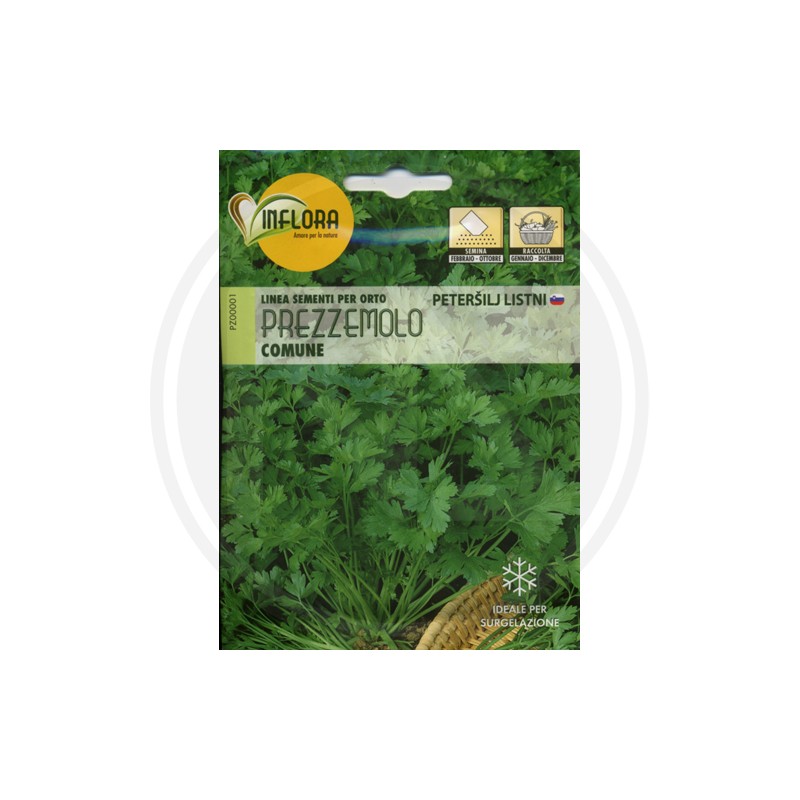 SEEDS FOR VEGETABLE GARDEN (GR.3)