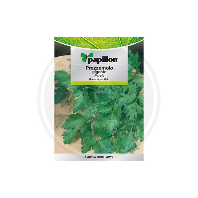 SEEDS FOR VEGETABLE GARDEN (GR.3)