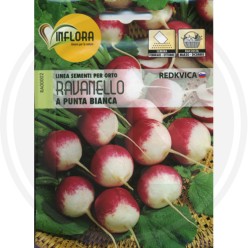 SEMI PER ORTO "RAVANELLO A PUNTA BIANCA"