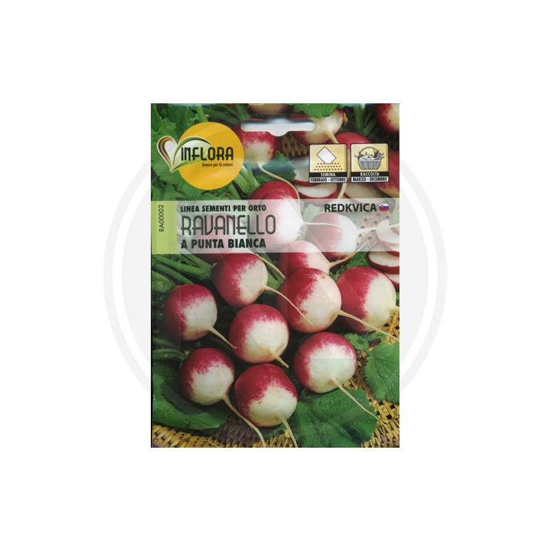 SEEDS FOR VEGETABLE GARDEN (GR.3)
