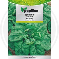 SEMI PER ORTO "SPINACIO MATADOR"