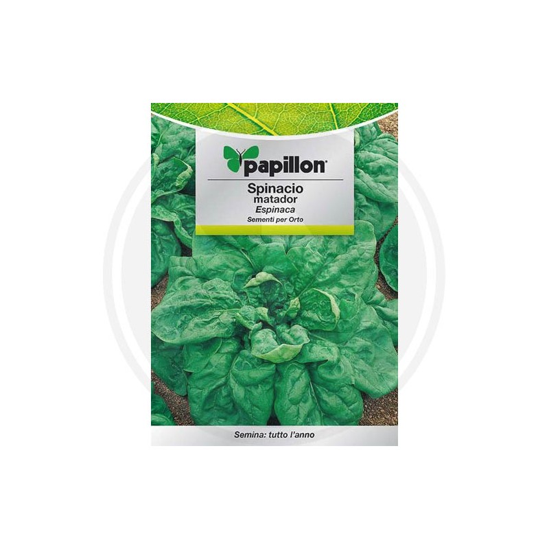 SEEDS FOR VEGETABLE GARDEN (GR.3)