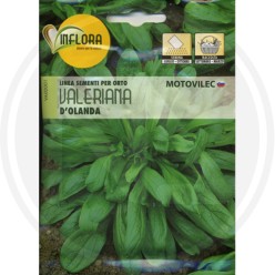 SEEDS FOR VEGETABLE GARDEN (GR.3)