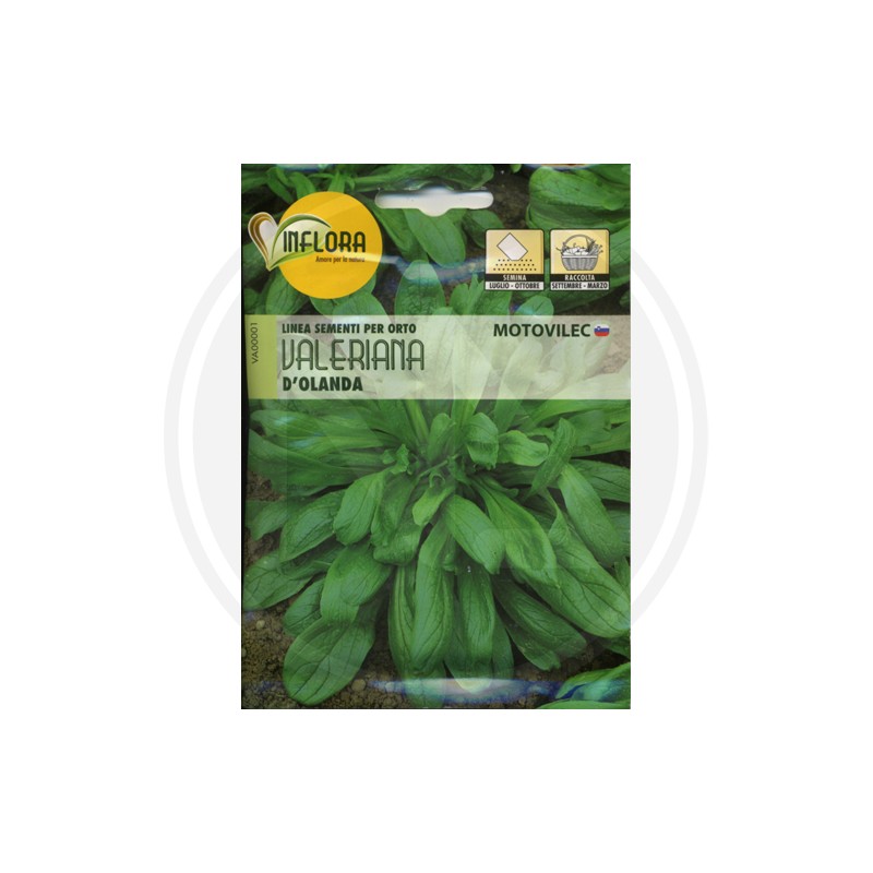 SEEDS FOR VEGETABLE GARDEN (GR.3)