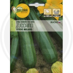 SEMI PER ORTO  "ZUCCHINO VERDE MILANO"