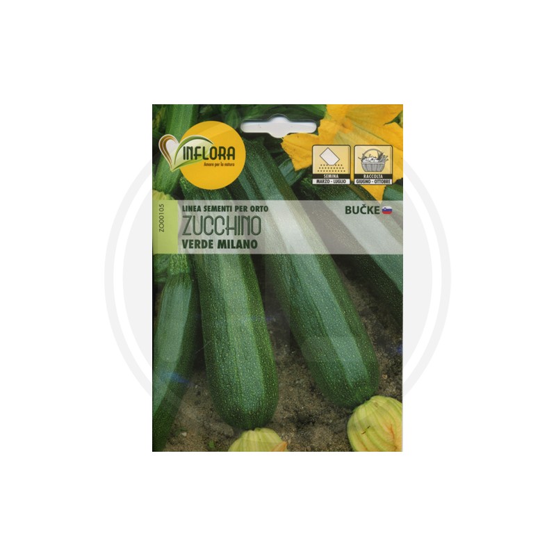 SEEDS FOR VEGETABLE GARDEN (GR.3)