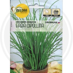SEMI PER ERBA AROMATICA "ERBA CIPOLLINA"