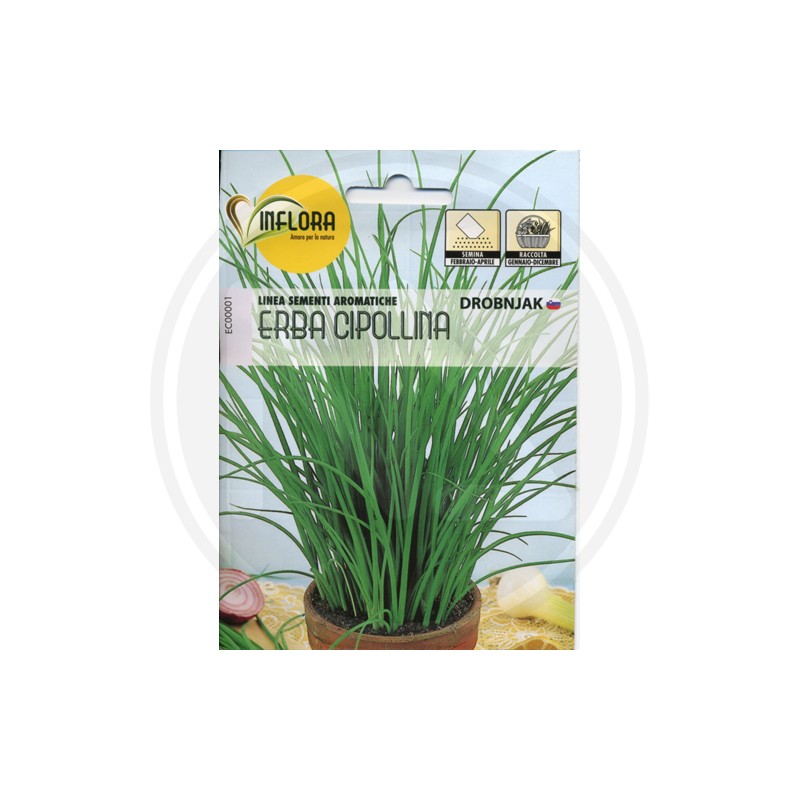 SEEDS FOR AROMATIC HERB