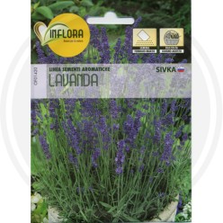 SEEDS FOR AROMATIC HERB