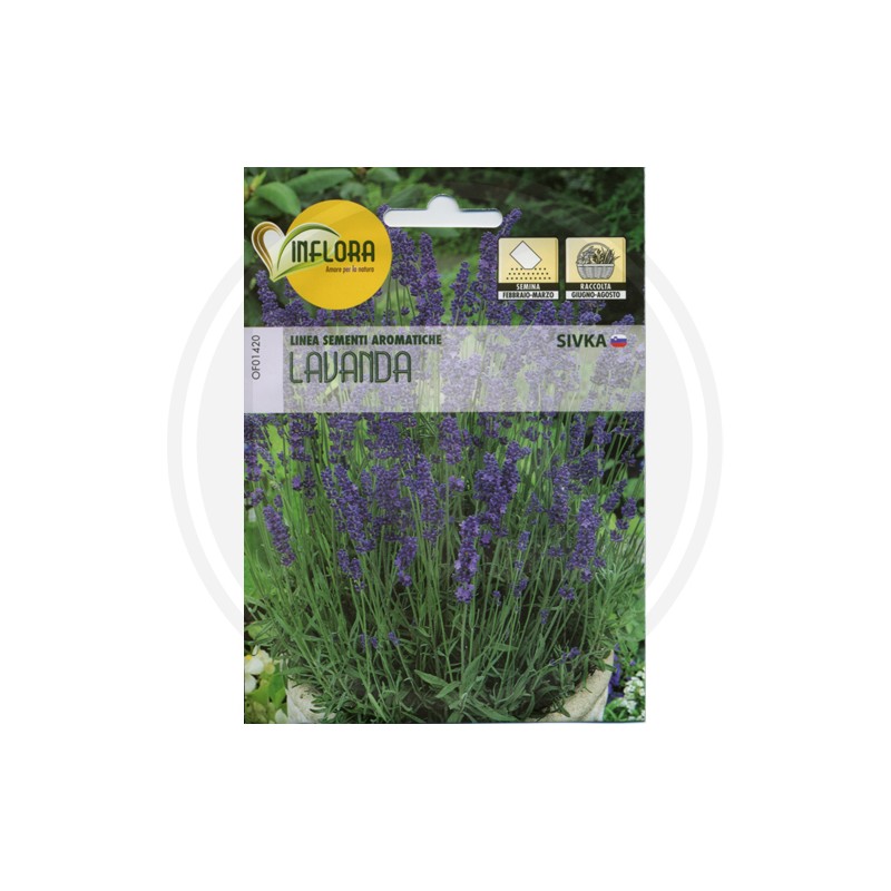 SEEDS FOR AROMATIC HERB