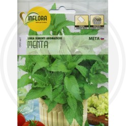 SEEDS FOR AROMATIC HERB