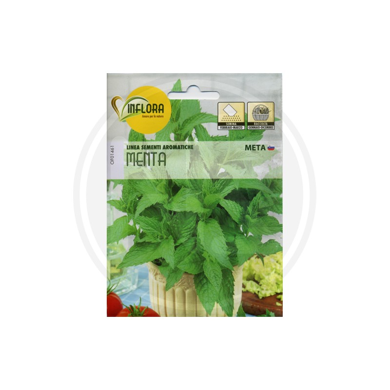 SEEDS FOR AROMATIC HERB