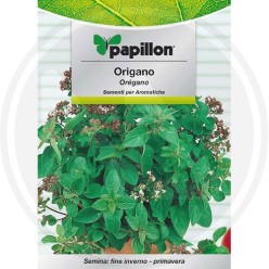 SEEDS FOR AROMATIC HERB