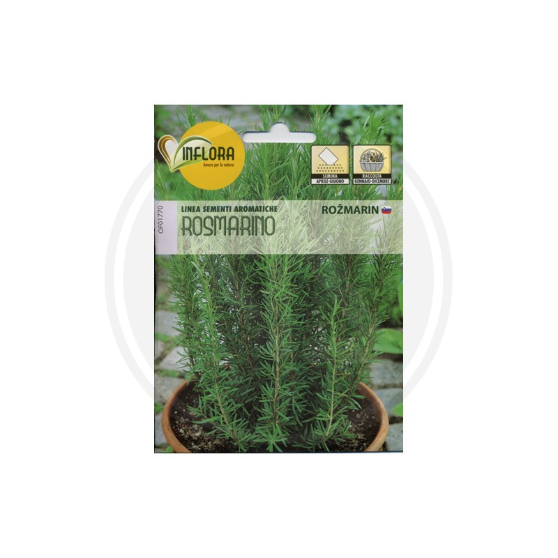 SEEDS FOR AROMATIC HERB