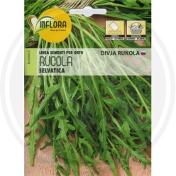 SEEDS FOR AROMATIC HERB