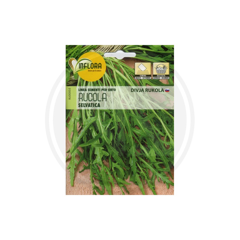 SEEDS FOR AROMATIC HERB