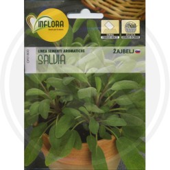 SEMI PER ERBA AROMATICA "SALVIA"