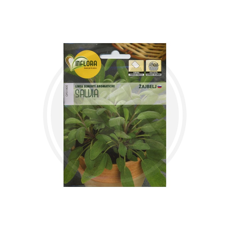 SEEDS FOR AROMATIC HERB