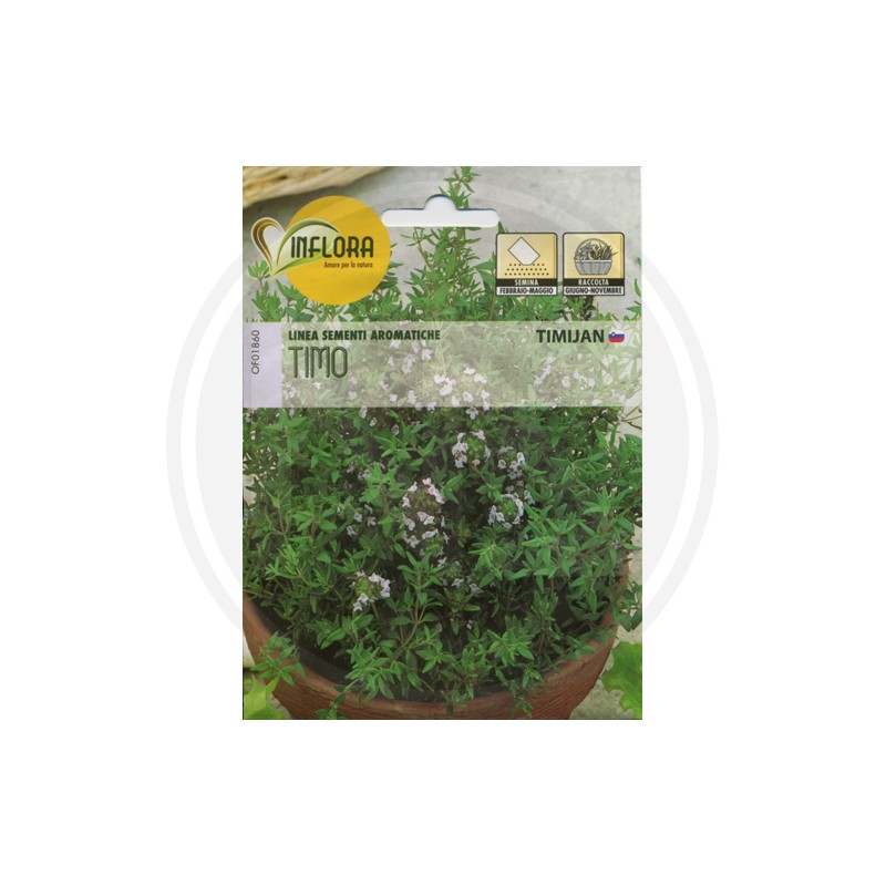 SEEDS FOR AROMATIC HERB