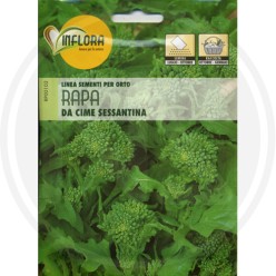 SEEDS FOR VEGETABLE GARDEN (GR.3)