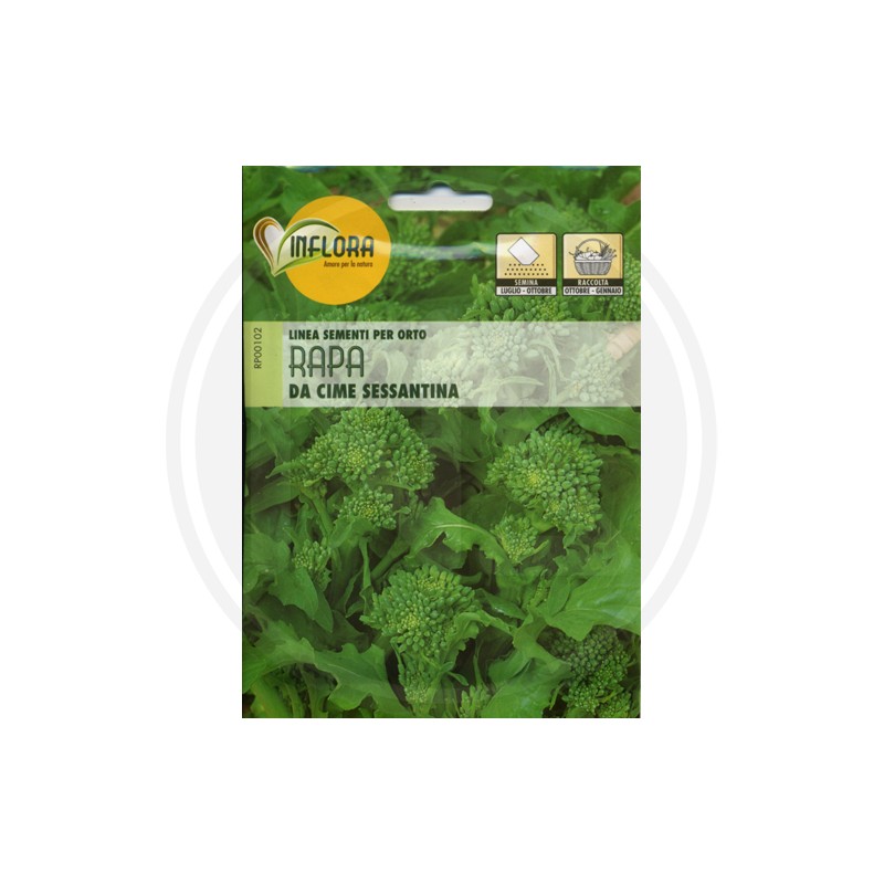 SEEDS FOR VEGETABLE GARDEN (GR.3)