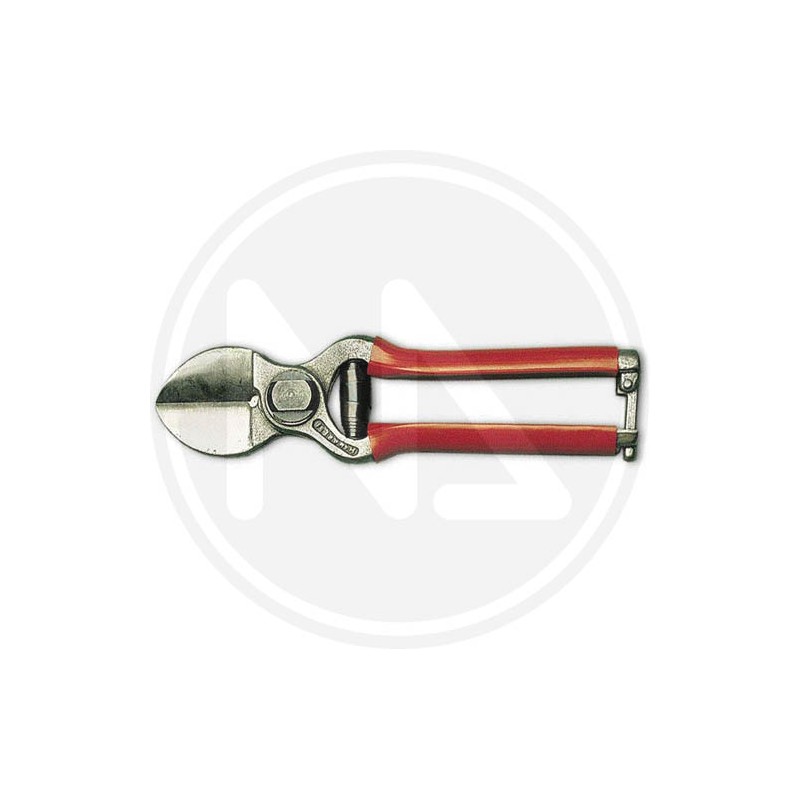 citrus shear