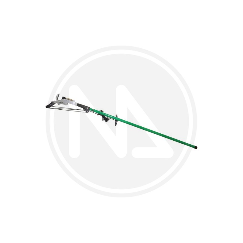 TREE PRUNER PAPILLON
