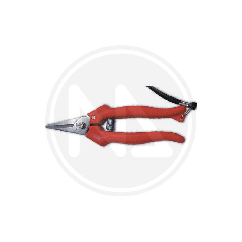 Grape shear  "ausonia"