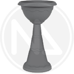 ANTHRACITE COLUMN CUP