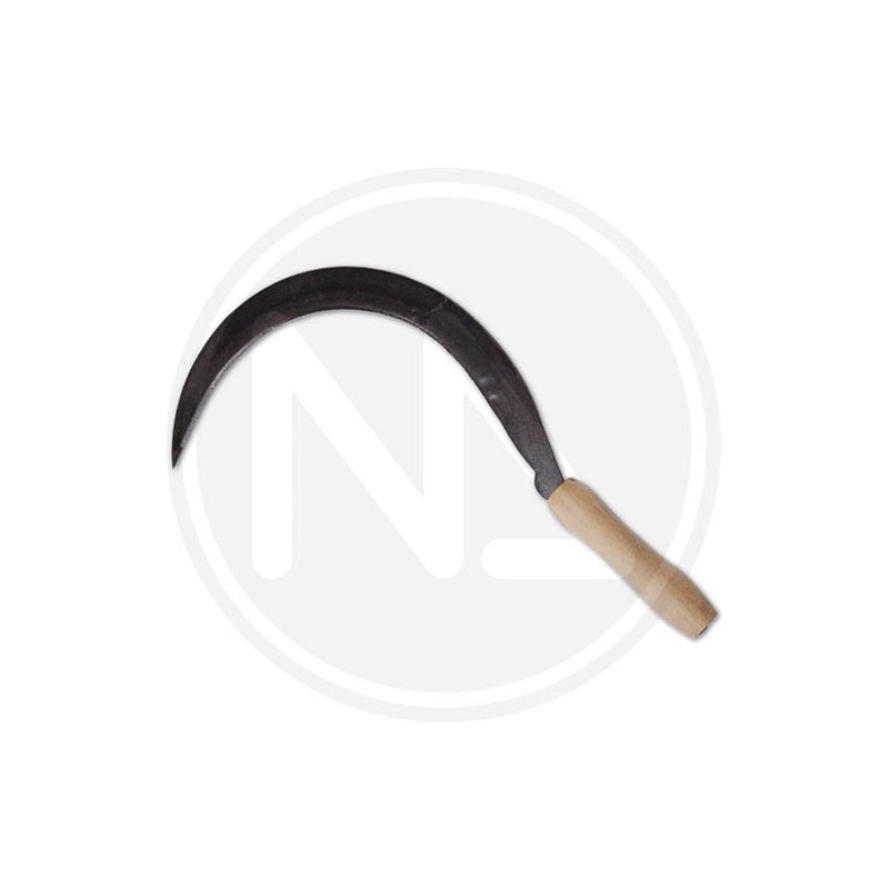 toothed sickle papillon