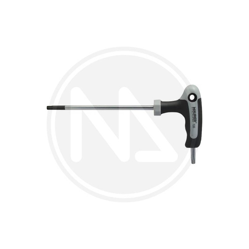 "t" torx key with hole maurer plus