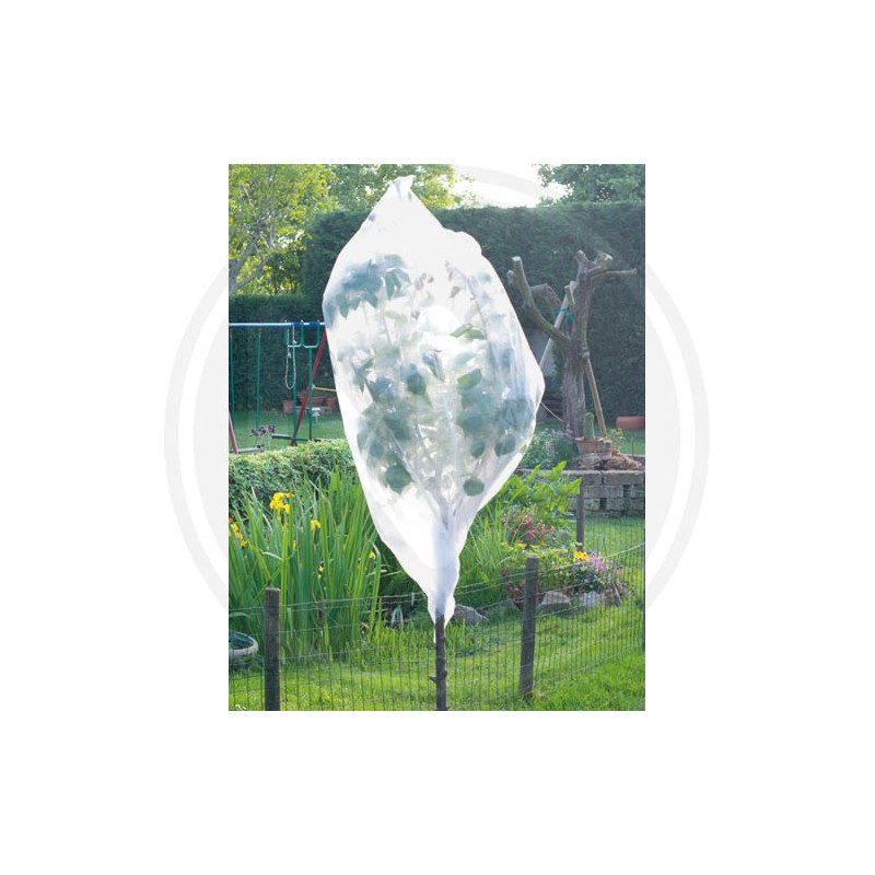 PROTECTION HOOD VeGETABLES PAPILLON
