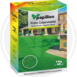 SEMI PRATO "CALPESTABILE" PAPILLON