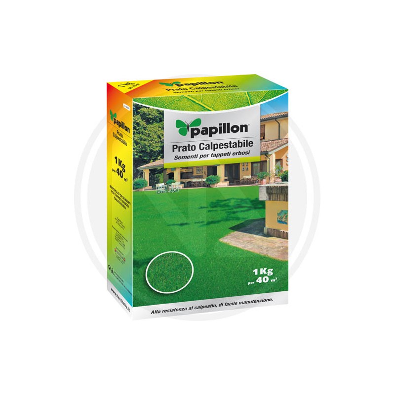 PEDESTRIAN LAWN IN SEEDS PAPILLON