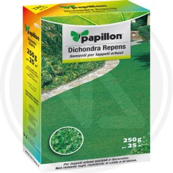 LAWN "DICHONDRA REPENS" IN SEEDS PAPILLON