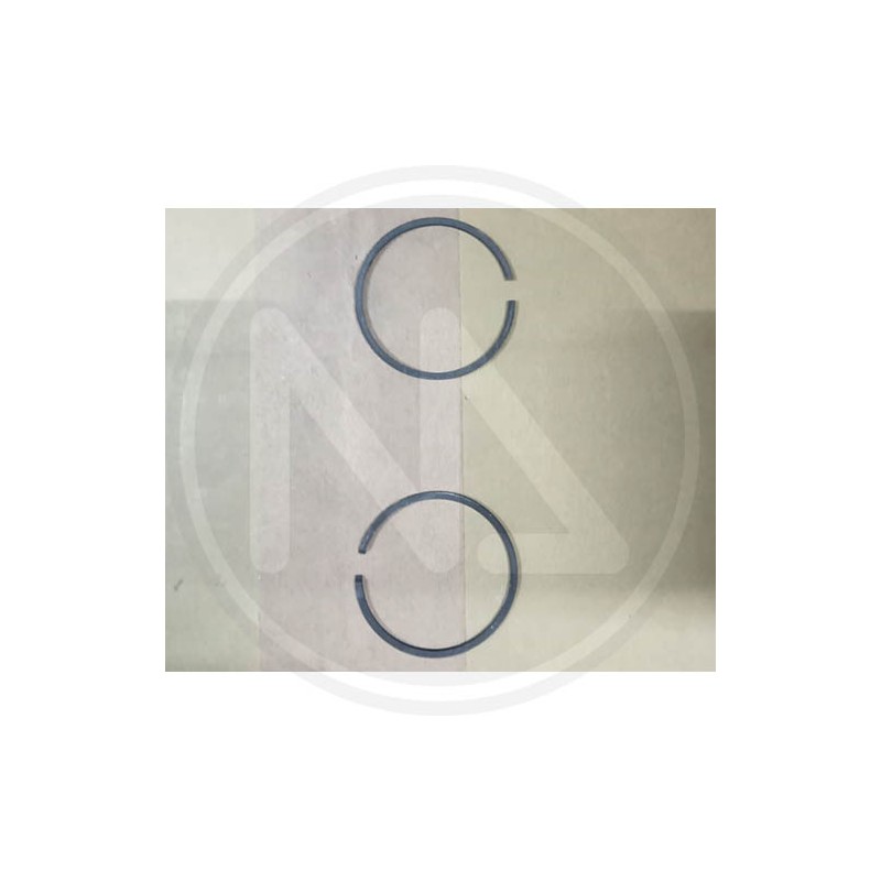 RICAMBI PER DECESPUGLIATORE (97843-97845-82875) PAPILLON - FASCE PISTONE
