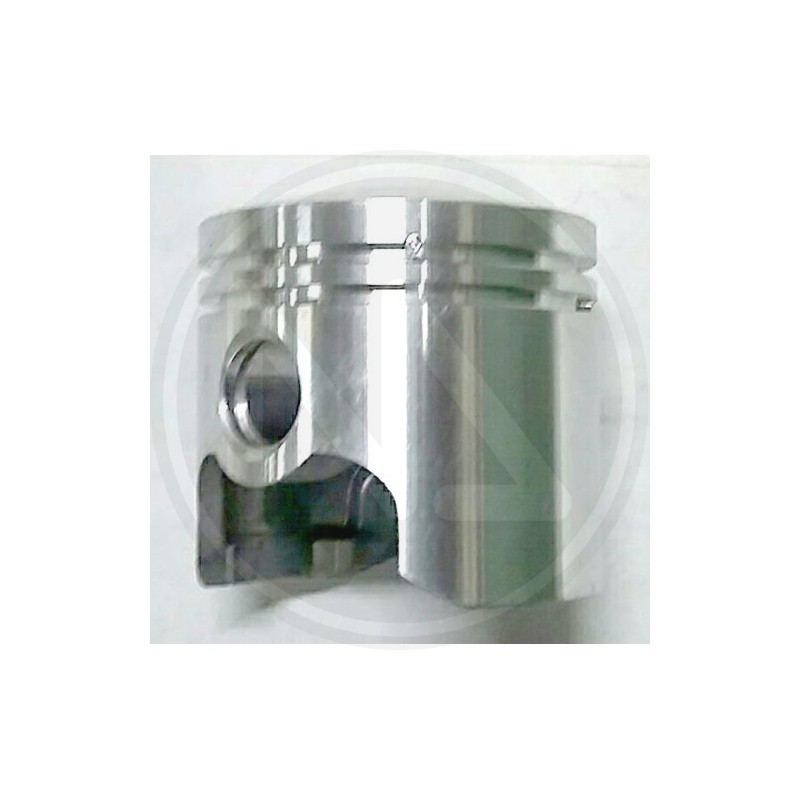 RICambi per MOTOPOMPA (94974) papillon - PISTONE