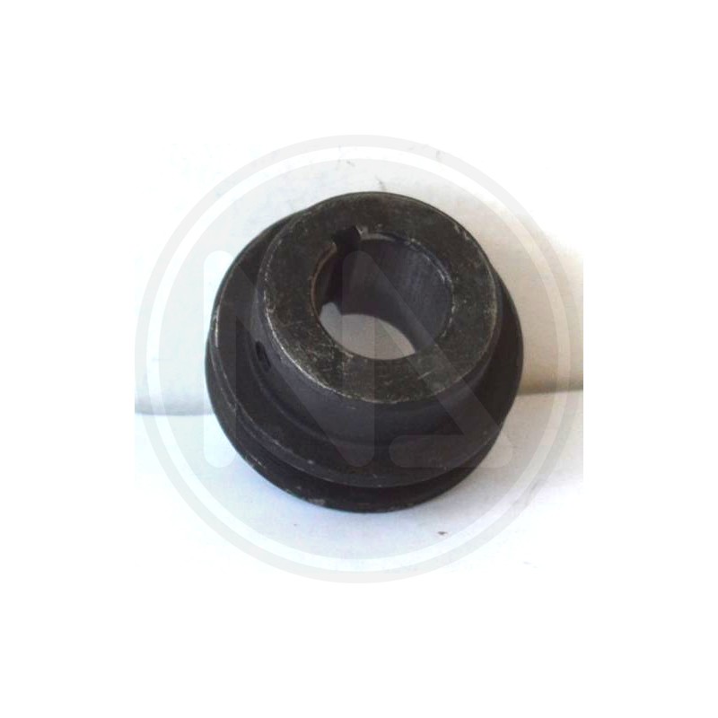 RICAMBI PER RASAERBA (99185) PULEGGIA PAPILLON