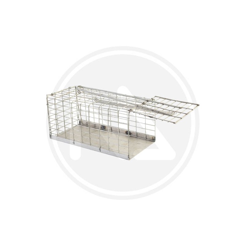 GALLERY MOUSETRAP PAPILLON