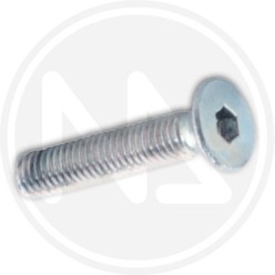 viti per metallo ZINCATE esagono incassato 8 mm.
