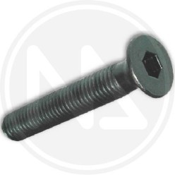viti per metallo BRUNITE esagono incass. 6 mm.