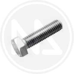 SQUARE HEAD GALVANIZED STEEL SCREW
